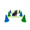 adjustable height hurdle cone set