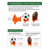 2” kickoff tees classic & round