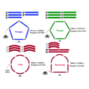 polygon obstacle set