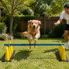 tpr heavy base colorful hurdle set tpr heavy base colorful hurdle set