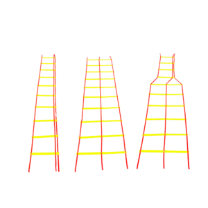 Double Agility Ladder